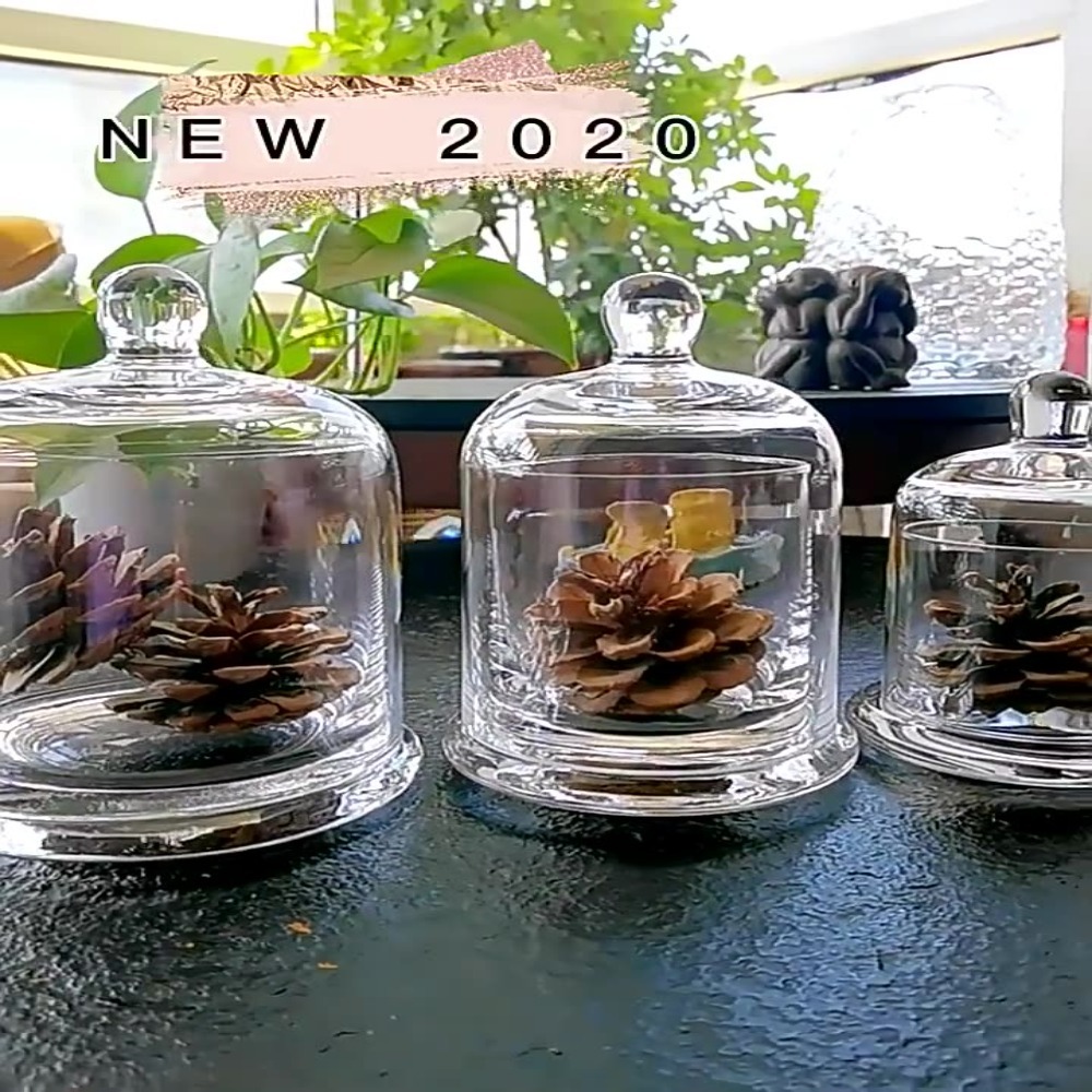 Food Storage In Plants - Pote de Vidro para Armazenamento, Flor