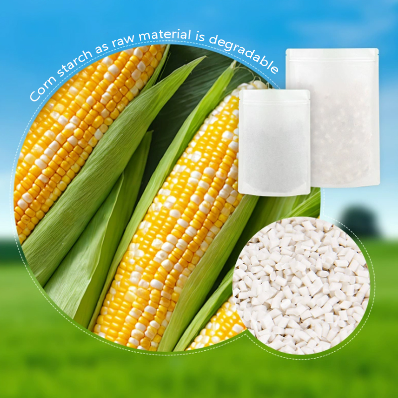 Sacos de papel kraft degradáve - Food Storage In Plants avaliação e preço