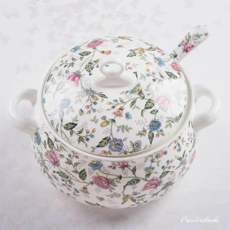 9 Polegada, barraca de porcela - Food Storage In Plants avaliação e preço